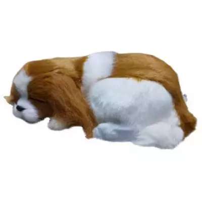 Visit Car Dashboard Accessories products