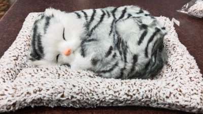 Sleeping cat with black stripes for car dashboard accessory / Car Dashboard toys