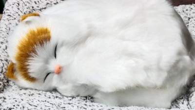 Sleeping white cat with brown puff for car dashboard accessory / Car Dashboard toys