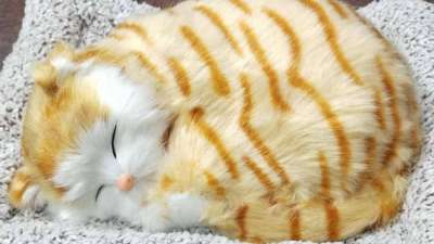 Sleeping cat with brown stripes for car dashboard accessory / Car Dashboard toys