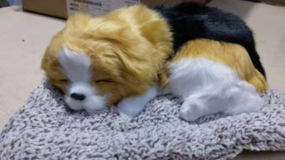 Sleeping dog  black, white and brown for car dashboard accessory / Car Dashboard toys