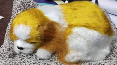 Sleeping dog  golden yellow and white for car dashboard accessory / Car Dashboard toys